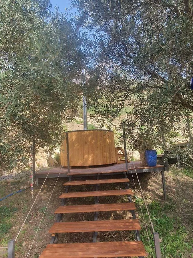 Glamping Geodesic Dome In Secluded Eco Retreat Hotel Alozaina Luxury tent